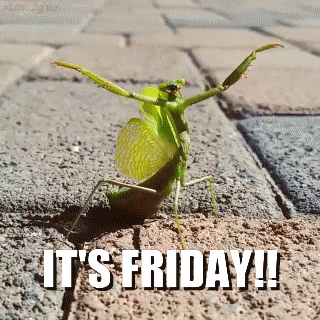 Friday Guy GIF