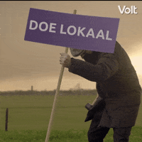 Verkiezingen Stemvolt GIF by VoltNL