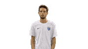 Staffsharks Sticker by Antibes Sharks