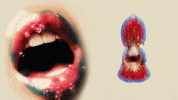 Roses GIF by Kali Uchis