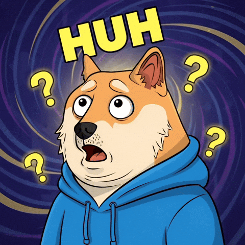 Shiba Inu What GIF by Doge Pound
