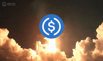 To The Moon Crypto GIF by Eco