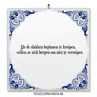 Nl Hoop GIF by Tegelspreuken.nl