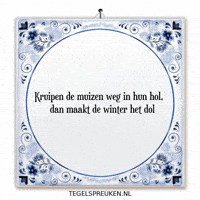 Winter Humor GIF by Tegelspreuken.nl