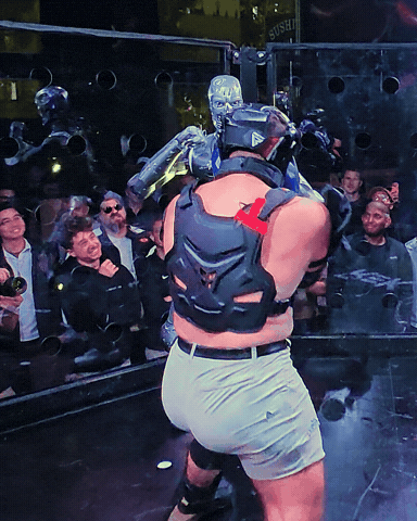 Fight Robot GIF