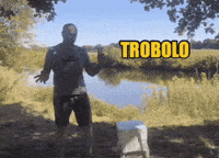 Tvln GIF by The Vanlife Network