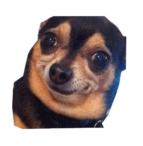 Dog What Sticker by namslam