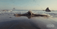 Summer Beach GIF by euphoria