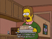 episode 14 todd flanders GIF