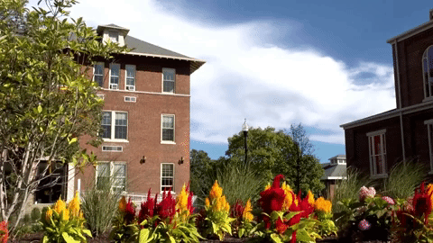college flyers GIF by University of Dayton