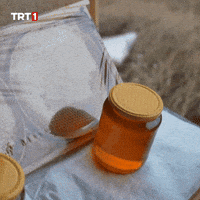 Energy Bee GIF by TRT
