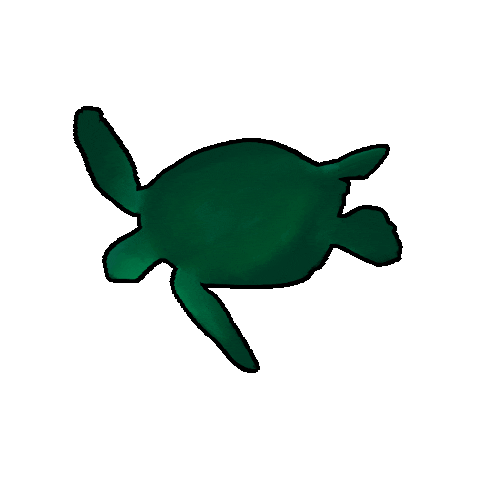 MarieWelke3 giphyupload swimming turtle GIF