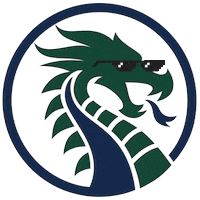 NewBraunfelsISD nbisd dragons Sticker