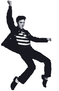 elvis presley STICKER