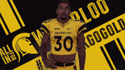 wloowarriors uwaterloo waterloo warriors university of waterloo goblackgogold GIF