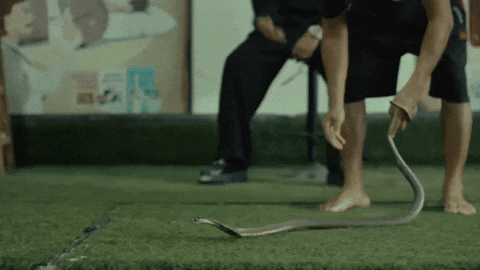 Music Video Snake GIF by Karan Aujla