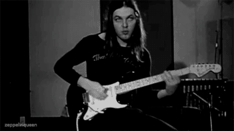 david gilmour GIF