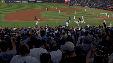 Happy Blue Jays GIF by Toronto Blue Jays