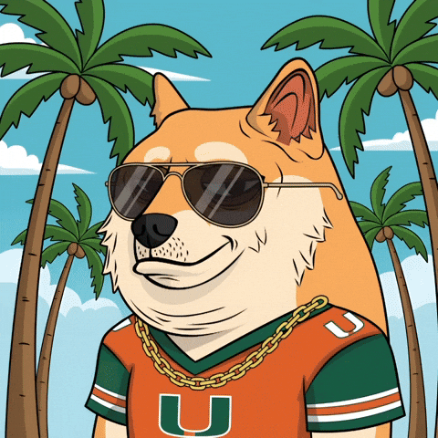 Shiba Inu Dog GIF by Doge Pound