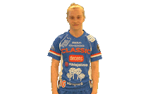 Floorball Salibandy Sticker by F-liiga