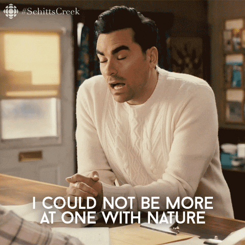 cbc giphyupload comedy nature rose GIF