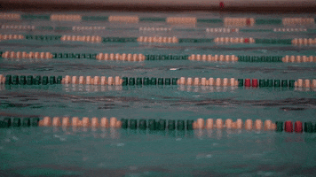 Iwutitans Tgoe GIF by iwusports