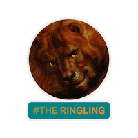 TheRingling art wink florida lion Sticker