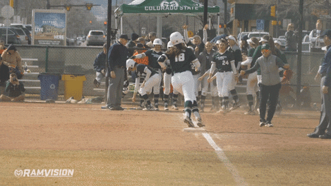 csu rams softball GIF by Colorado State Rams