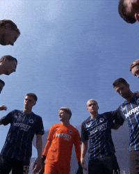 Blauw-Zwart GIF by Club Brugge