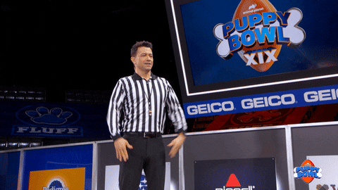 Hungry Football GIF by Puppy Bowl