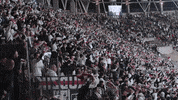 Football Flags GIF by LKS Lodz