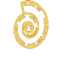 zbradevbr zbra ztalks zweekend zweek Sticker