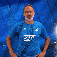 Sport Bundesliga GIF by TSG Hoffenheim