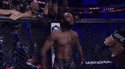 Mixed Martial Arts Sport GIF by UFC