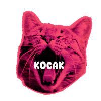 Cat Love Sticker by Seorang Zaki