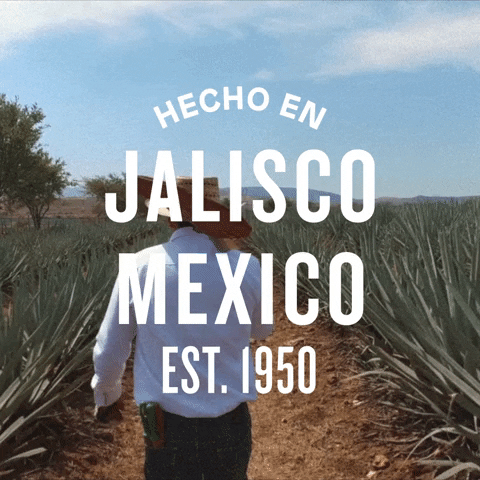 HornitosTequila giphyupload tequila agave hornitos tequila GIF