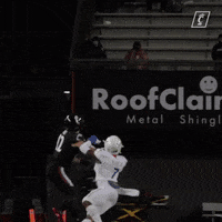 College Football GIF by Cincinnati Bearcats