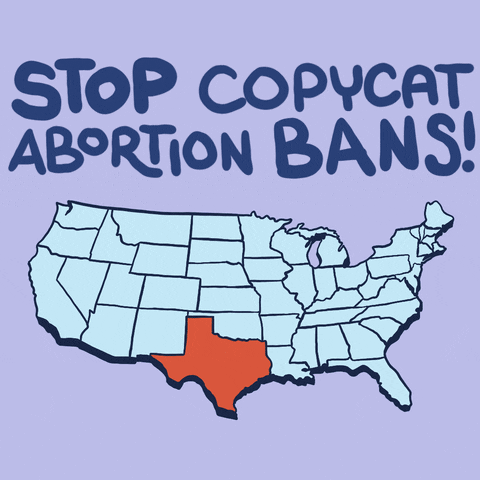 Digital art gif. On an illustrated map of the United States, random states light up in orange, a little mole with a hat popping his head out and being bonked immediately by a mallet. Text, "Stop copycat abortion bans."