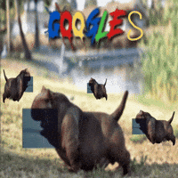 Google GIF