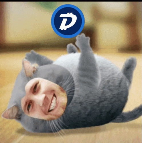 Fat Cat Lol GIF by DigiByte Memes