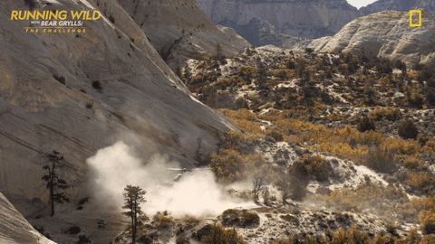 Running Wild Landscape GIF by National Geographic Channel