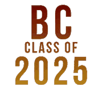 Chestnut Hill Bc Sticker by BostonCollege