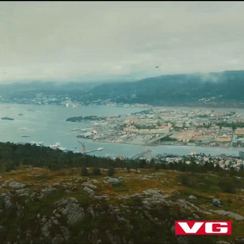 bergen berxit GIF by VG