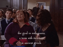 season 2 netflix GIF by Gilmore Girls 