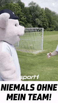 Zusammen Germany GIF by SPORT1
