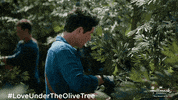 A Little Romance Love GIF by Hallmark Channel