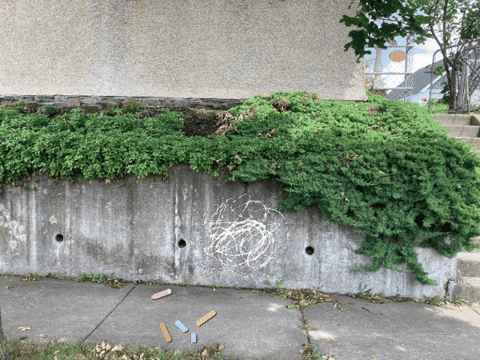 dogtrax giphygifmaker giphyattribution ds106 GIF