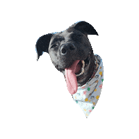 Animal Crossing Dog Sticker by Geekster Pets