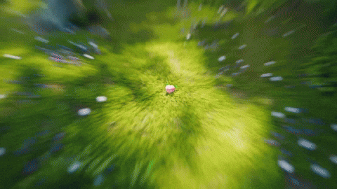 Peach Morpeko GIF by Pokémon