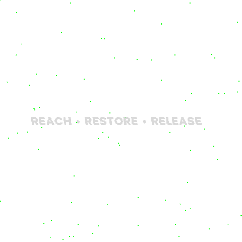 Reachcon Sticker by Reach Network